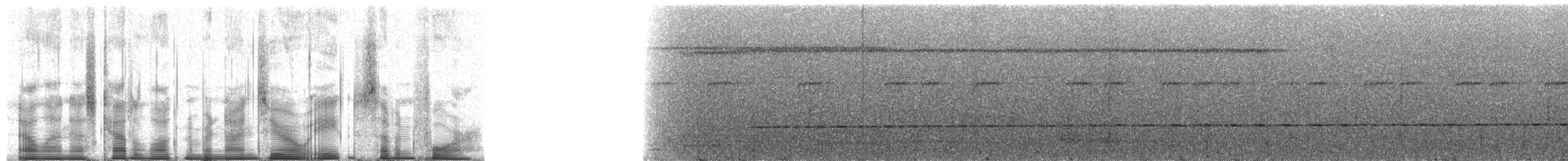 Scaly-breasted Wren (Southern) - ML90874