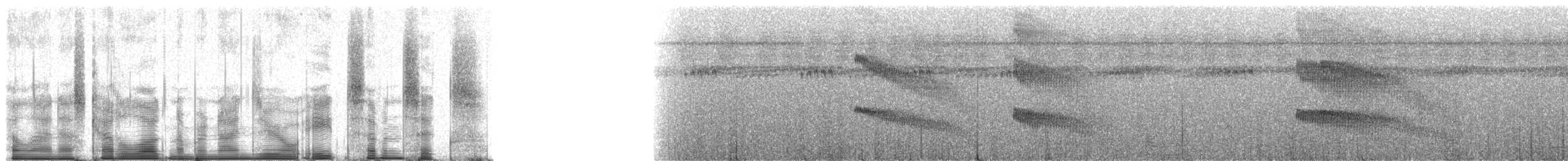 Black-spotted Bare-eye - ML90876