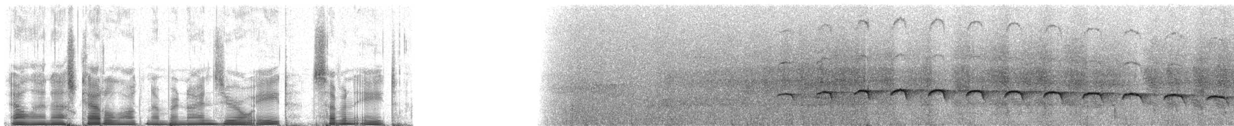 Black-faced Antbird - ML90878