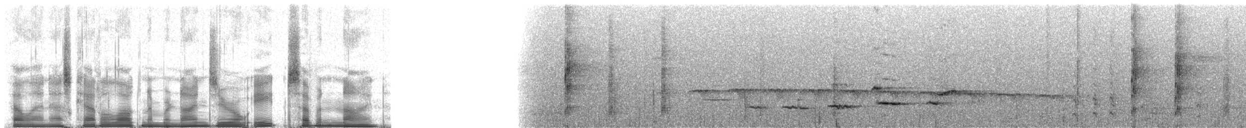 Red-crowned Ant-Tanager (Amazonian) - ML90879