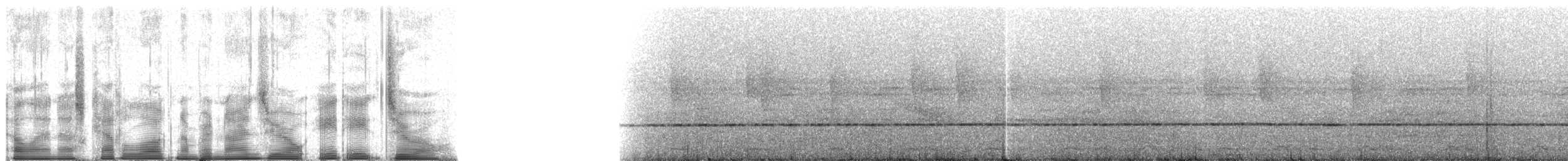 Scaly-breasted Wren (Southern) - ML90880