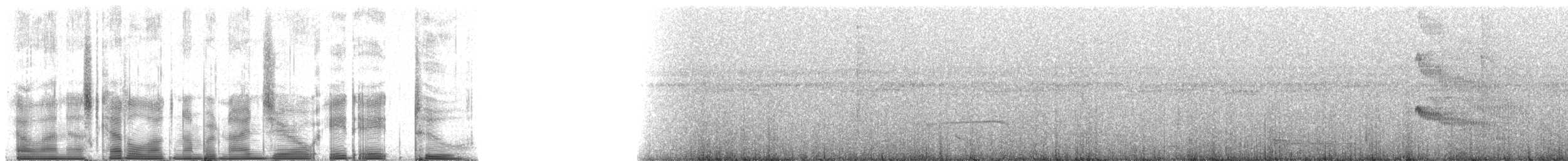 Чернопятнистая гологлазка - ML90882