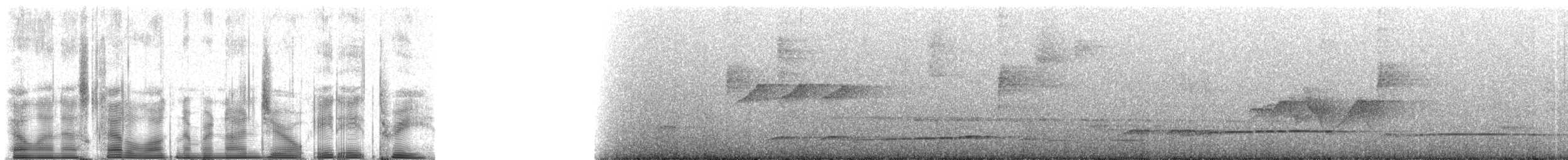 Dusky-tailed Flatbill - ML90883