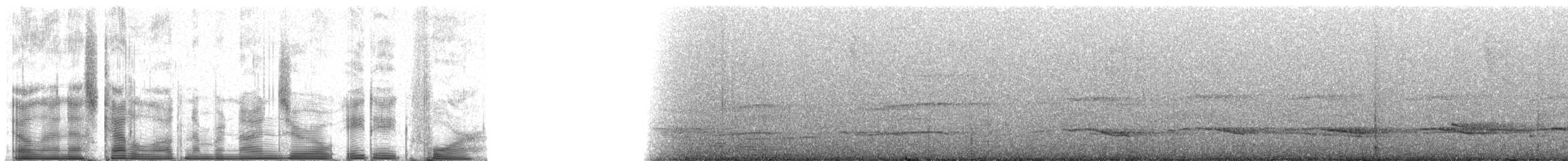 Slate-colored Hawk - ML90884