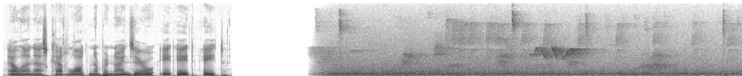 large macaw sp. - ML90888