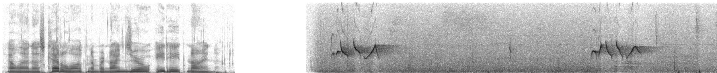 Lemon-chested Greenlet (Lemon-chested) - ML90889