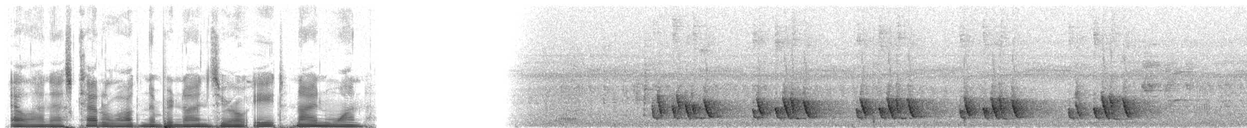 Thrush-like Wren - ML90891