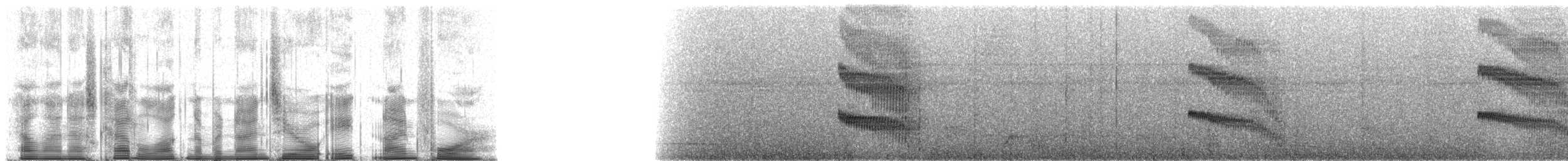 Black-spotted Bare-eye - ML90894