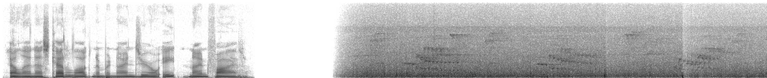 White-flanked Antwren (Gray-backed) - ML90895