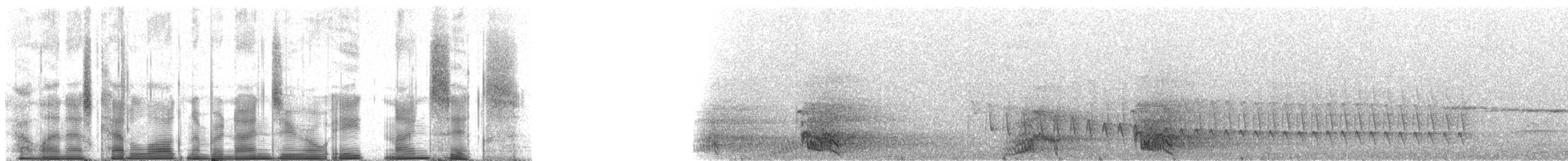 Mealy Amazon (Southern) - ML90896