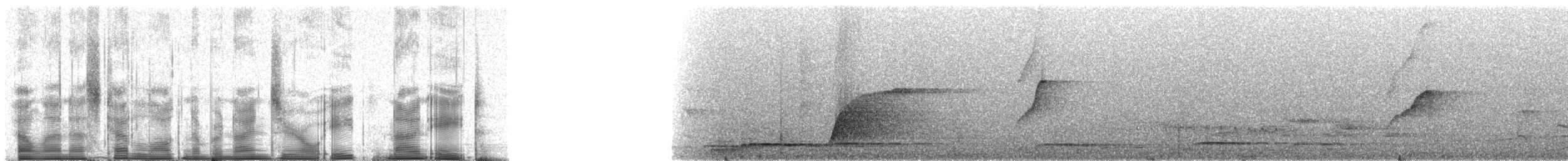 Screaming Piha - ML90898