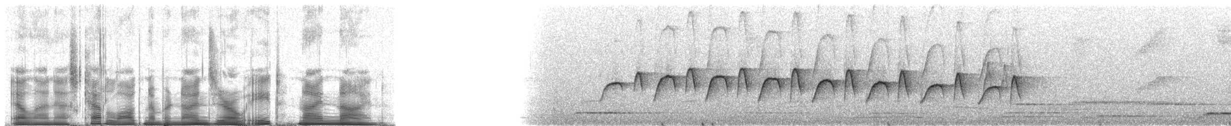 Spot-backed Antbird - ML90899