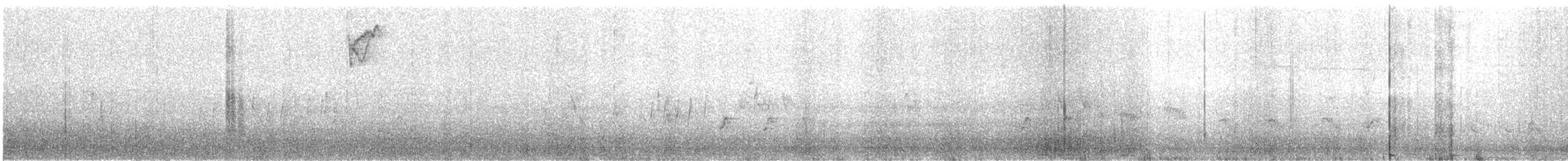 Streak-backed Oriole - ML90936521