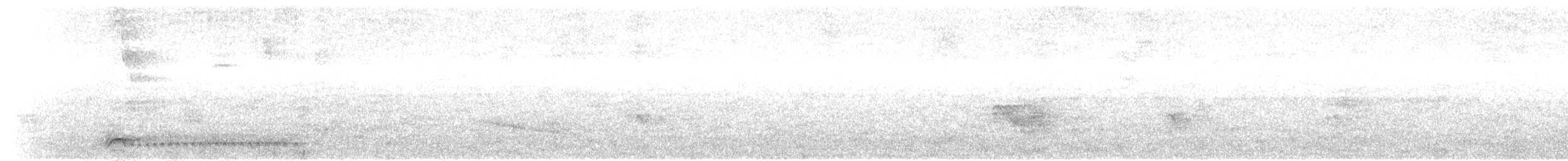 Black-crowned Antshrike - ML91015591