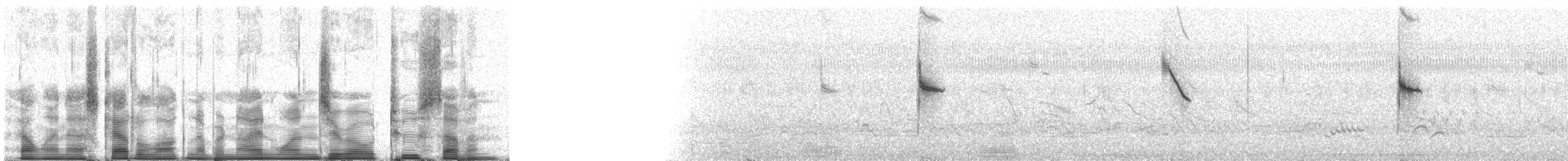 White-browed Meadowlark - ML91027