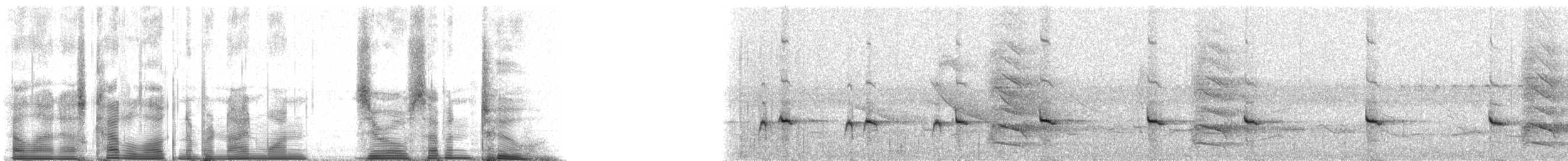 Yellow-breasted Crake - ML91072