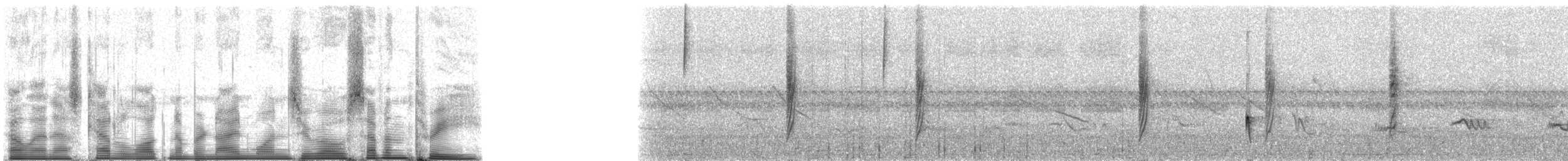 Small-billed Elaenia - ML91073