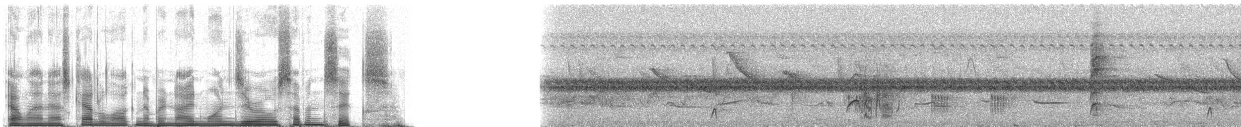 Small-headed Elaenia - ML91076