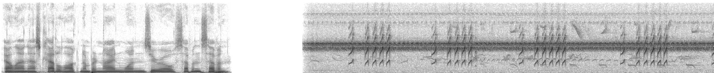 Spix's Spinetail - ML91077