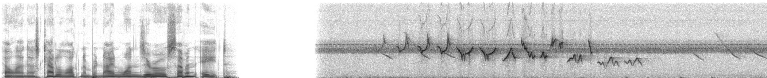 Southern Yellowthroat - ML91078