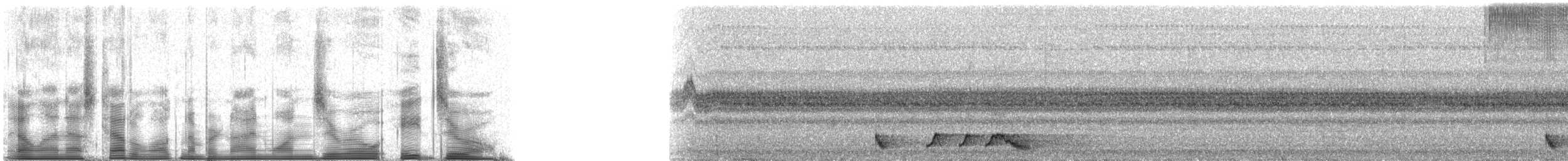 Rufous Nightjar (South American) - ML91080