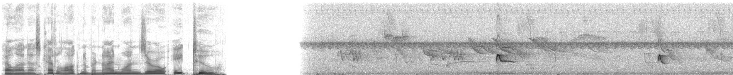 Small-billed Elaenia - ML91082