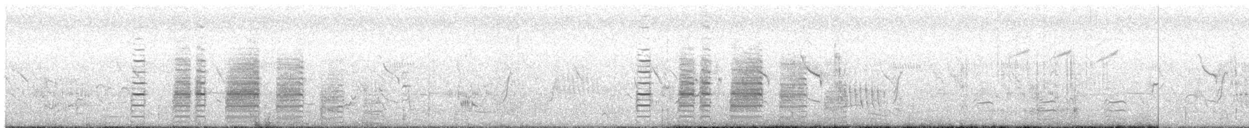 Coqui Francolin - ML91082561