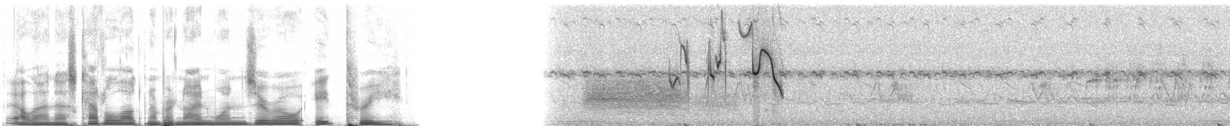 Great Pampa-Finch (Eastern) - ML91083