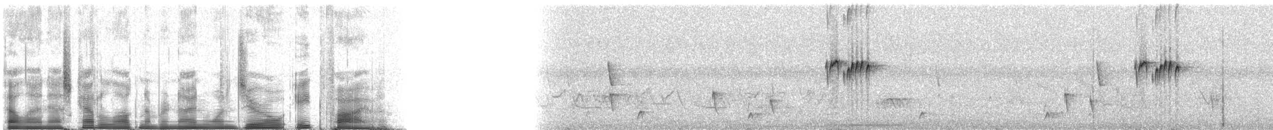 Tropical Kingbird - ML91085