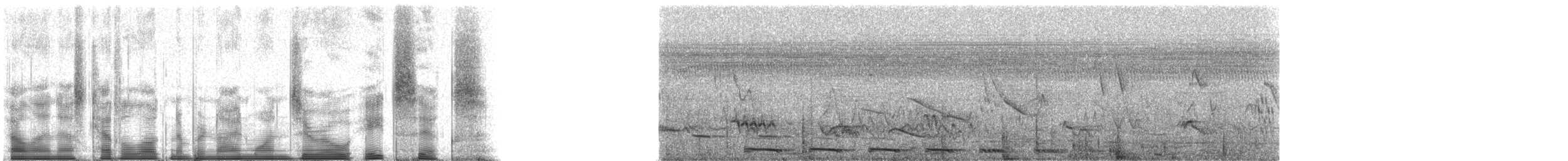 Dark-billed Cuckoo - ML91086