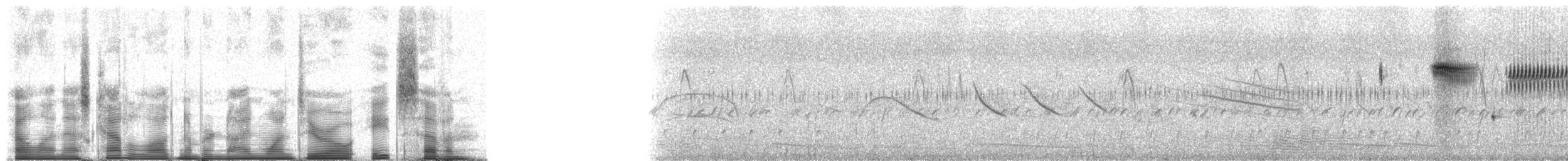 Grassland Sparrow - ML91087