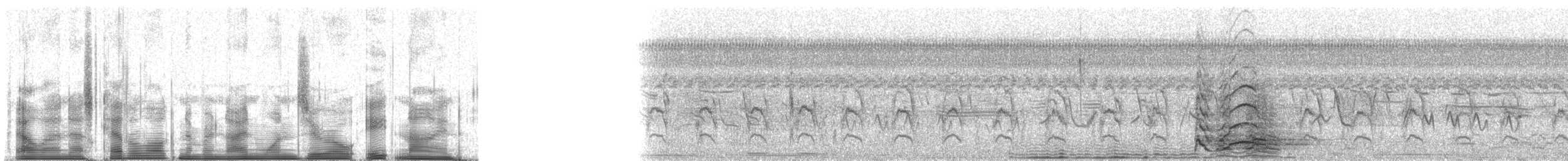 Southern Screamer - ML91089