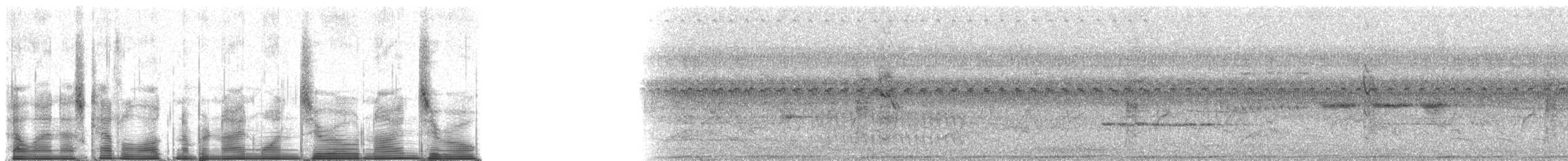 Rufous-sided Crake - ML91090