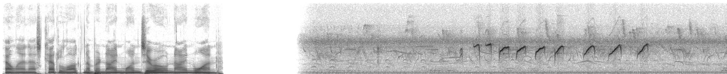 Masked Gnatcatcher - ML91091