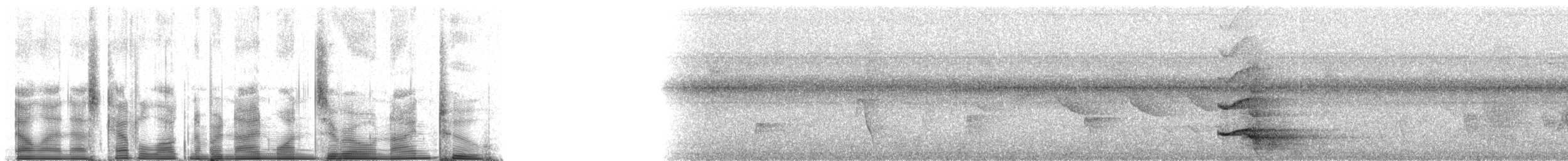 Giant Wood-Rail - ML91092