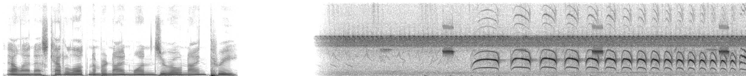 rustkronemaurvarsler (ruficapillus/cochabambae) - ML91093