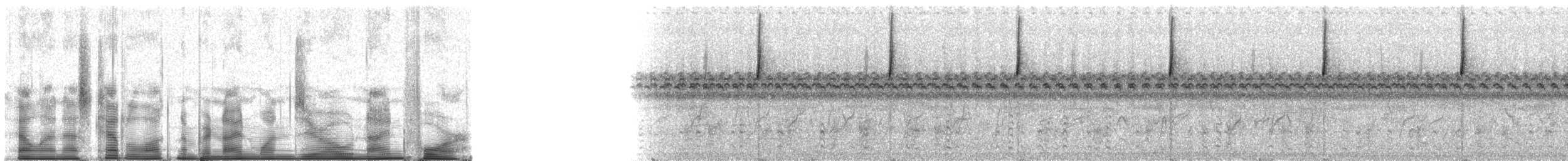 ソウゲンノジコ（platensis） - ML91094