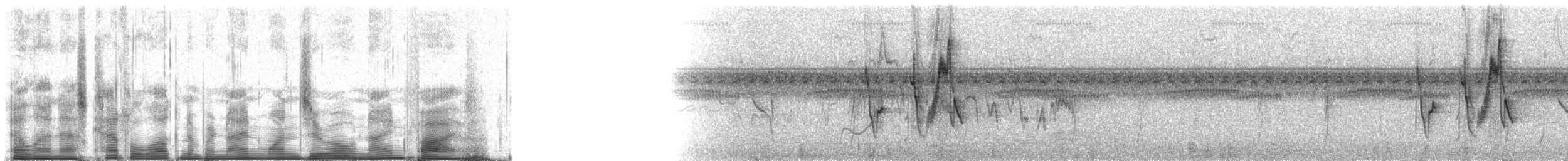 Great Pampa-Finch (Eastern) - ML91095