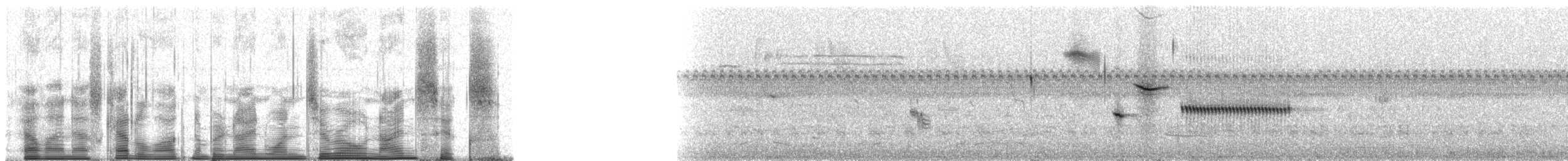 Grassland Sparrow - ML91096