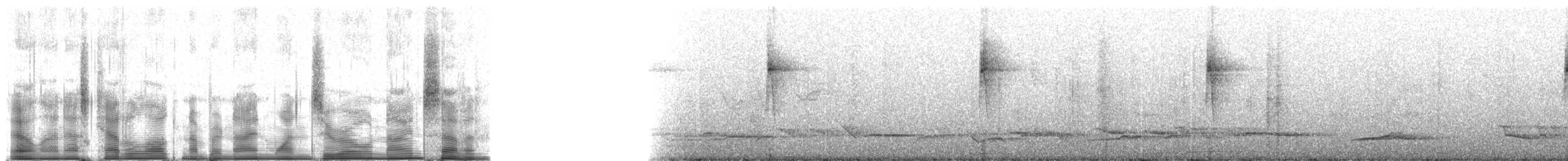 White-browed Foliage-gleaner - ML91097