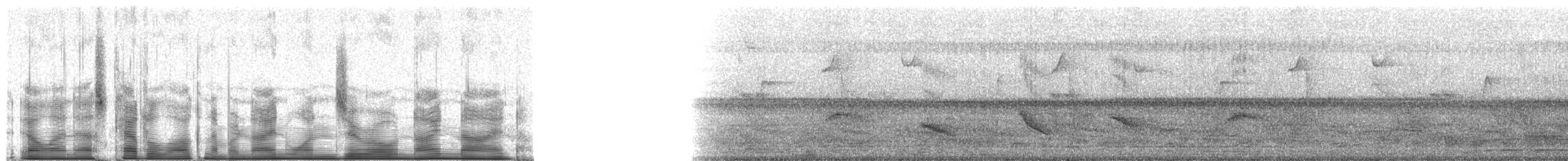 Rufous Gnateater - ML91099