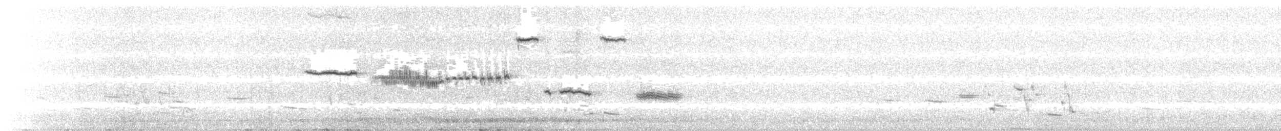 Cassin's Sparrow - ML91166401