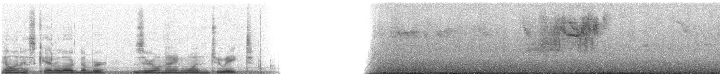 Bananaquit (St. Vincent and Grenada) - ML9128