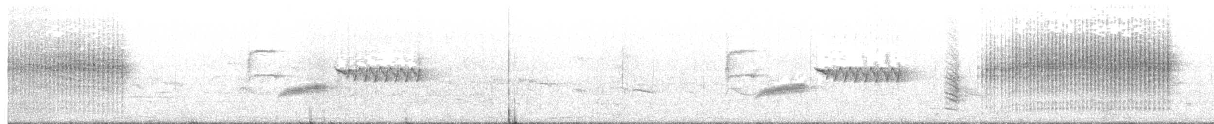 Каролинский крапивник - ML91281671