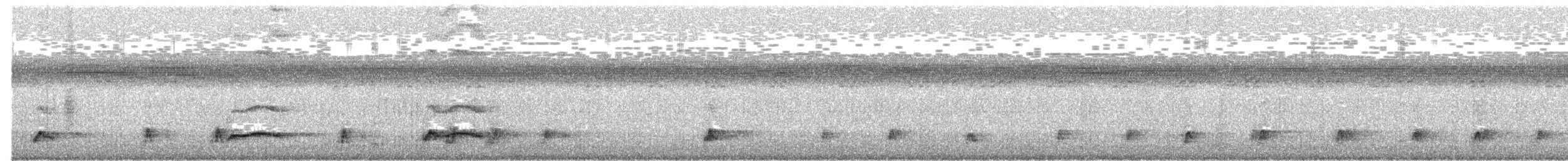 Eastern Whip-poor-will - ML91294101