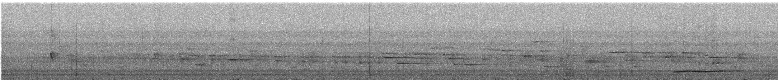 Thicket Tinamou - ML91305191