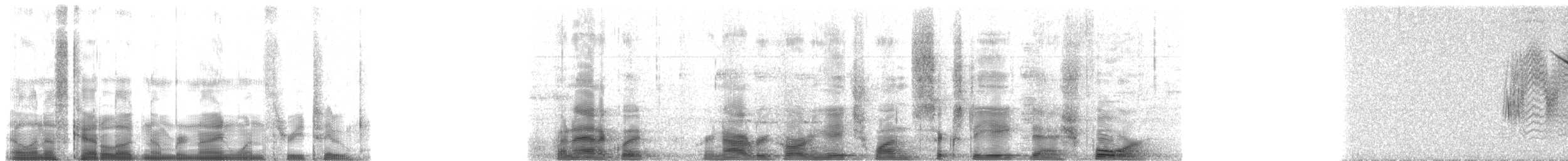 Zuckervogel - ML9132