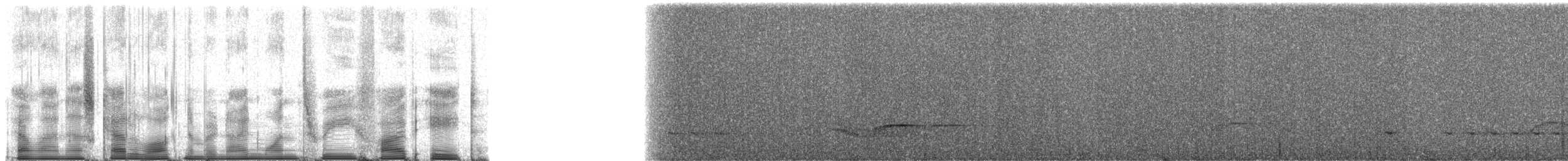 Spot-necked Babbler - ML91358