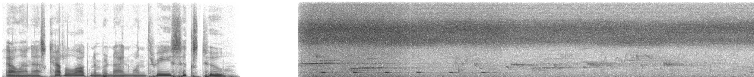 Белоплечий ибис - ML91362