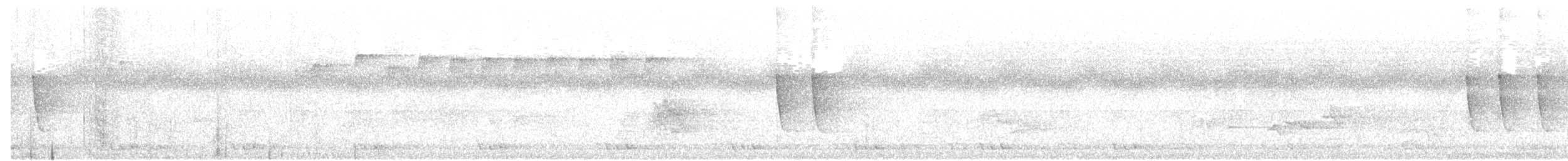 Нектарка смугастовола - ML91433671